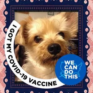 Meet your Posher, Peggy